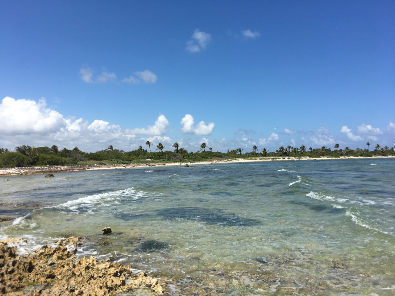 Costa Maya Caribbean beachfront land — path through palms to turquoise sea