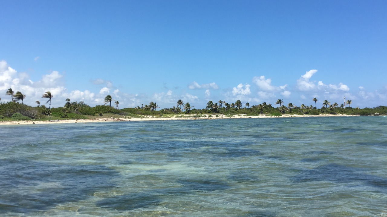 Turquoise Caribbean water on Costa Maya beachfront